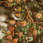 Heather Torres Art |Butterflies |watercolor painting of monarch butterflies