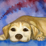 Heather Torres Art | Sasha | watercolor painting of dog, pet portrait