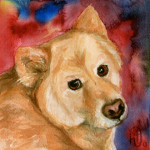Heather Torres Art | Grace | watercolor painting, pet dog portrait