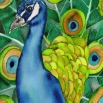 Heather Torres Art | Peacock Whimsy | watercolor painting of peacock