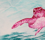 Heather Torres Art | Pink Sea Turtle | watercolor painting of pink sea turtle