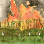 Heather Torres Art | Burning Cane | watercolor painting of sugar cane burning with birds