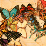 Heather Torres Art | Butterfly Hope | watercolor painting of different colored butterflies