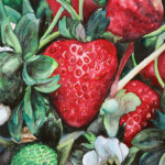 Heather Torres Art | Florida Strawberry | watercolor painting of strawberry and leaves