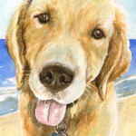 Heather Torres Art | Golden | watercolor painting of dog, golden retriever pet portrait