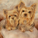 Heather Torres Art | Lola and Zooey | watercolor painting of two dogs, yorkie pet portrait