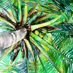 Heather Torres Art | Looking Up | palm tree watercolor, palm tree watercolor painting, watercolor painting, Heather Torres Art