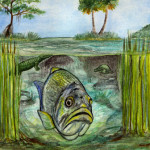 Heather Torres Art | Okeechobee Underwater | watercolor painting of Lake Okeechobee fish, alligator, turtle under water