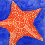 Heather Torres Art | Orange Starfish | watercolor painting of orange and blue starfish