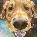 Heather Torres Art | Friend | watercolor painting of pet, dog portrait