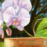 Heather Torres Art | Pink Sunshine | watercolor painting of pink orchid flower