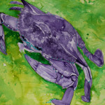 Heather Torres Art | Purple Crab | watercolor painting of purple and green crab