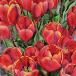 Heather Torres Art | Red Spring | tulip painting, red tulips, tulip watercolor painting