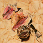 Heather Torres Art | Grand Turk Conch | watercolor painting of conch shells with geometric patterns
