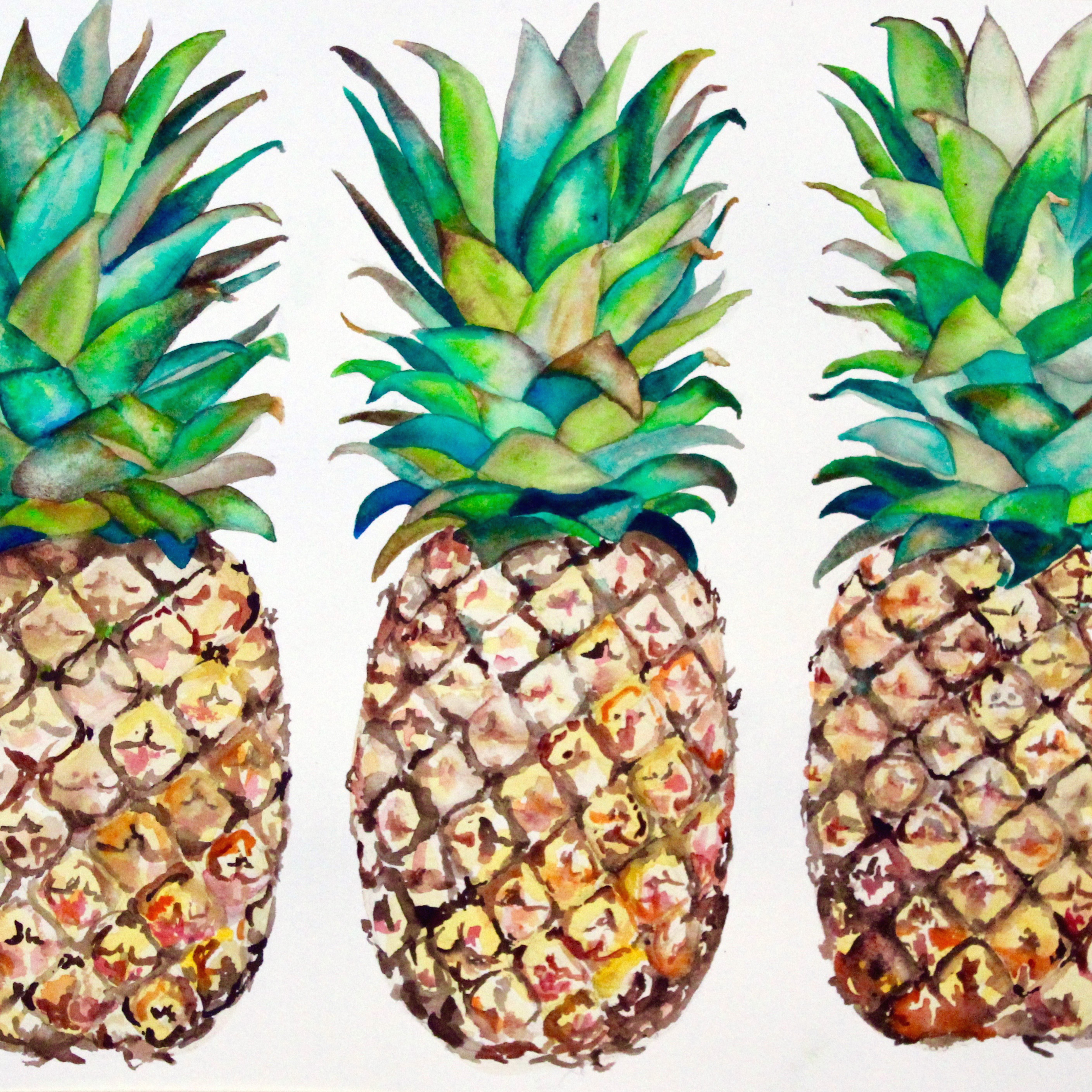 pina, pineapple, watercolor